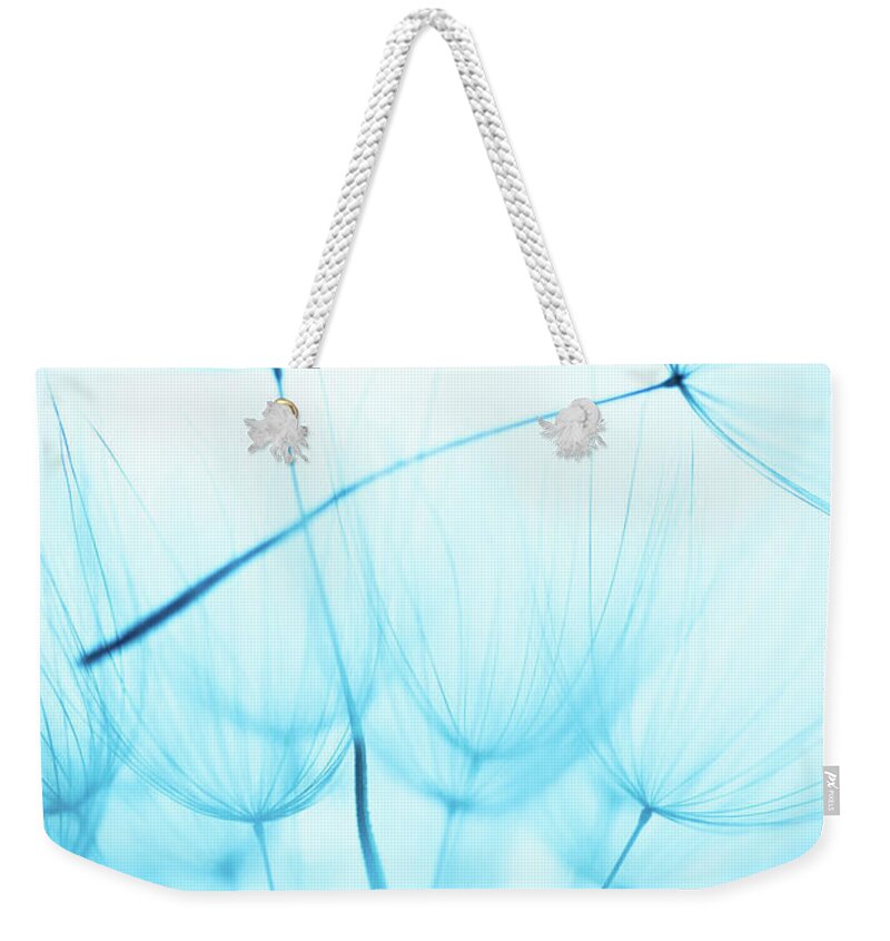 Outdoors Weekender Tote Bag featuring the photograph Dandelion Seed by Jasmina007