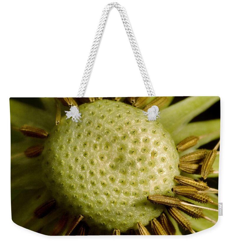 Iris Holzer Richardson Weekender Tote Bag featuring the photograph Dandelion with Seeds by Iris Richardson