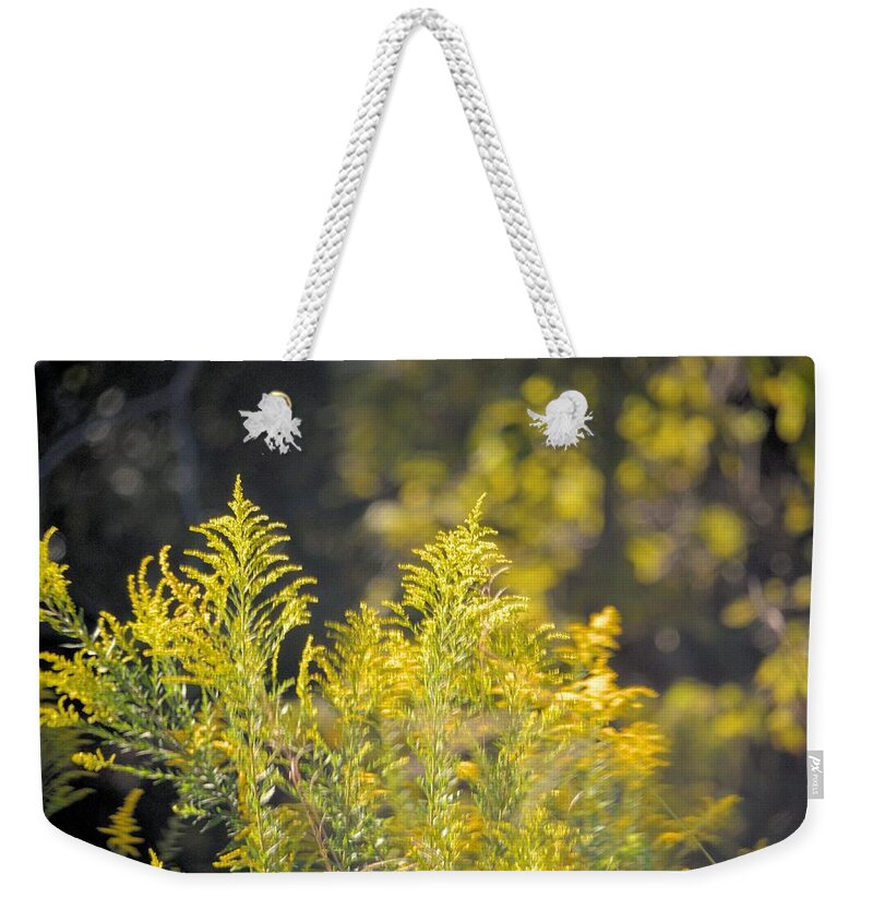 Dappled Goldenrod Weekender Tote Bag featuring the photograph Dappled Goldenrod by Maria Urso