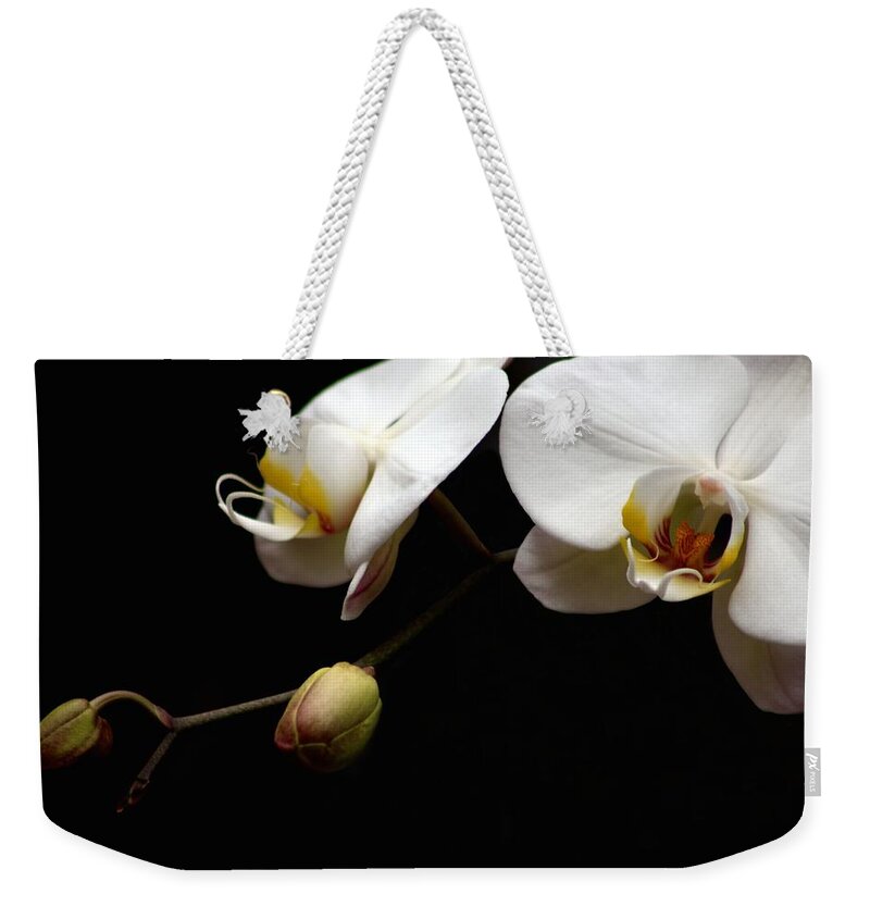 Phalaenopsis Orchid Weekender Tote Bag featuring the photograph Dark Orchid by Carol Montoya