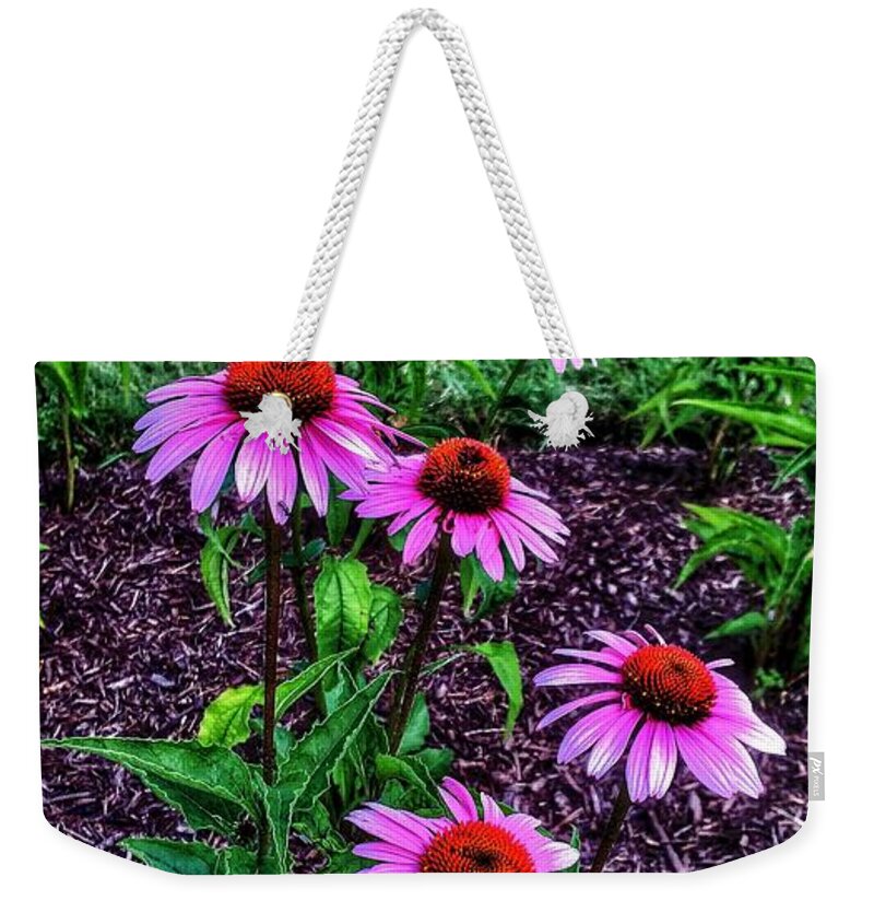 Flowers Weekender Tote Bag featuring the photograph Darling Daisy by Nick Heap
