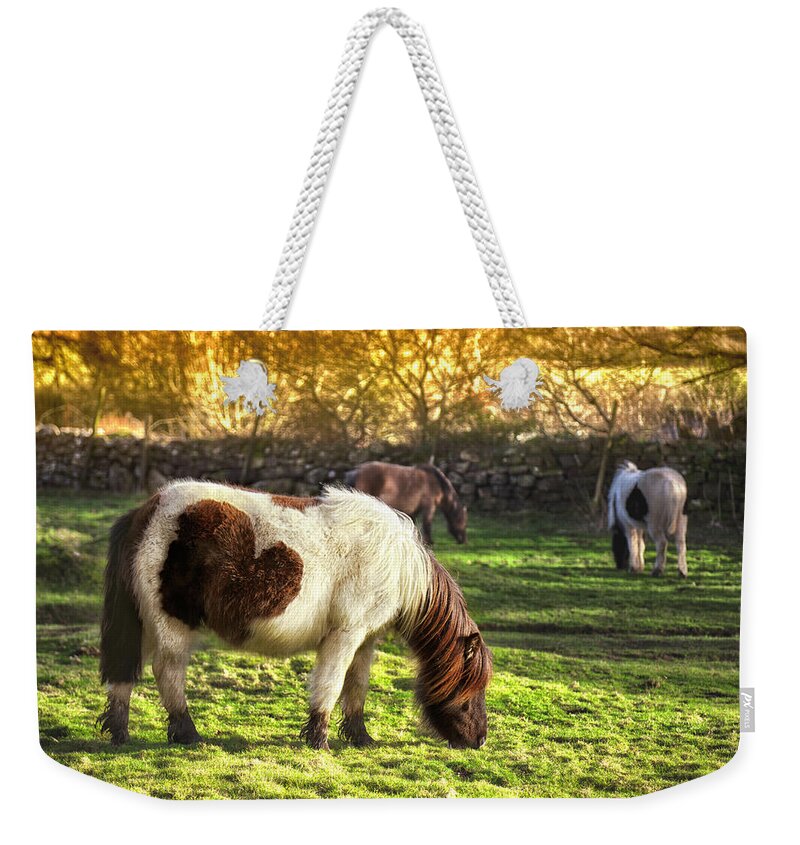 Horse Weekender Tote Bag featuring the photograph Dartmoor Ponies by Nicolamargaret