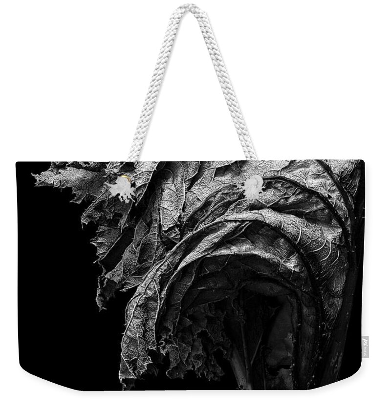 Dead Weekender Tote Bag featuring the photograph Dead by Robert Woodward
