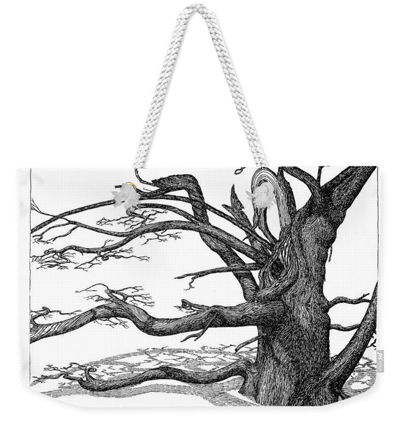 Nature Weekender Tote Bag featuring the drawing Dead Tree by Daniel Reed