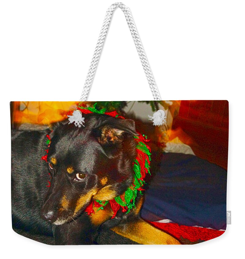 Christmas Weekender Tote Bag featuring the photograph Dear Santa by Cassandra Buckley