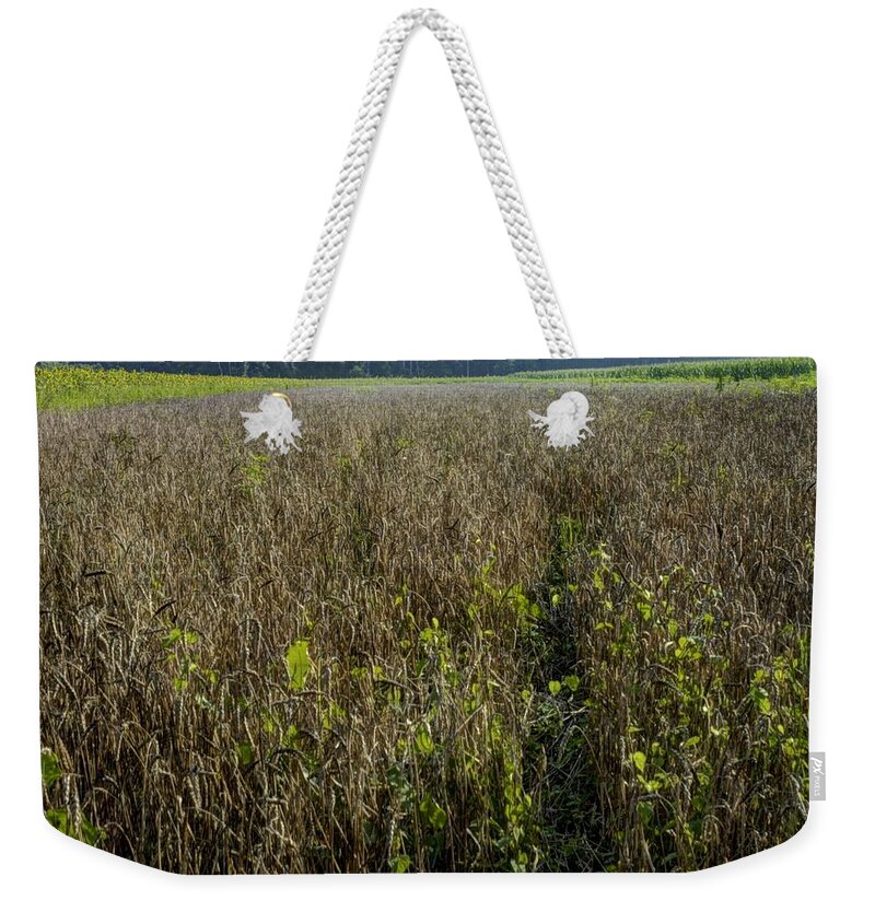 Brandywine Island Weekender Tote Bag featuring the photograph Deer Crops by DArcy Evans