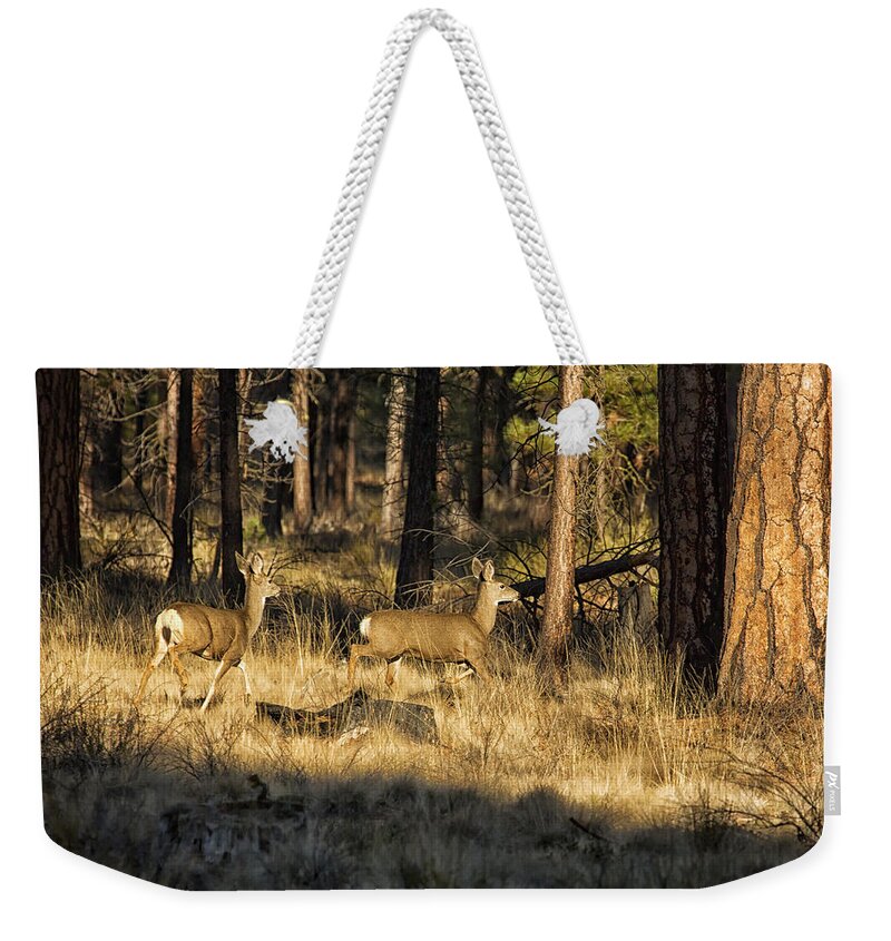 Deer Weekender Tote Bag featuring the photograph Deer on the Run by Belinda Greb