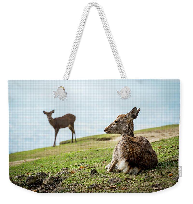 Grass Weekender Tote Bag featuring the photograph Deers by Copyrights(c) All Rights Reserved By Haruhisa Yamaguchi