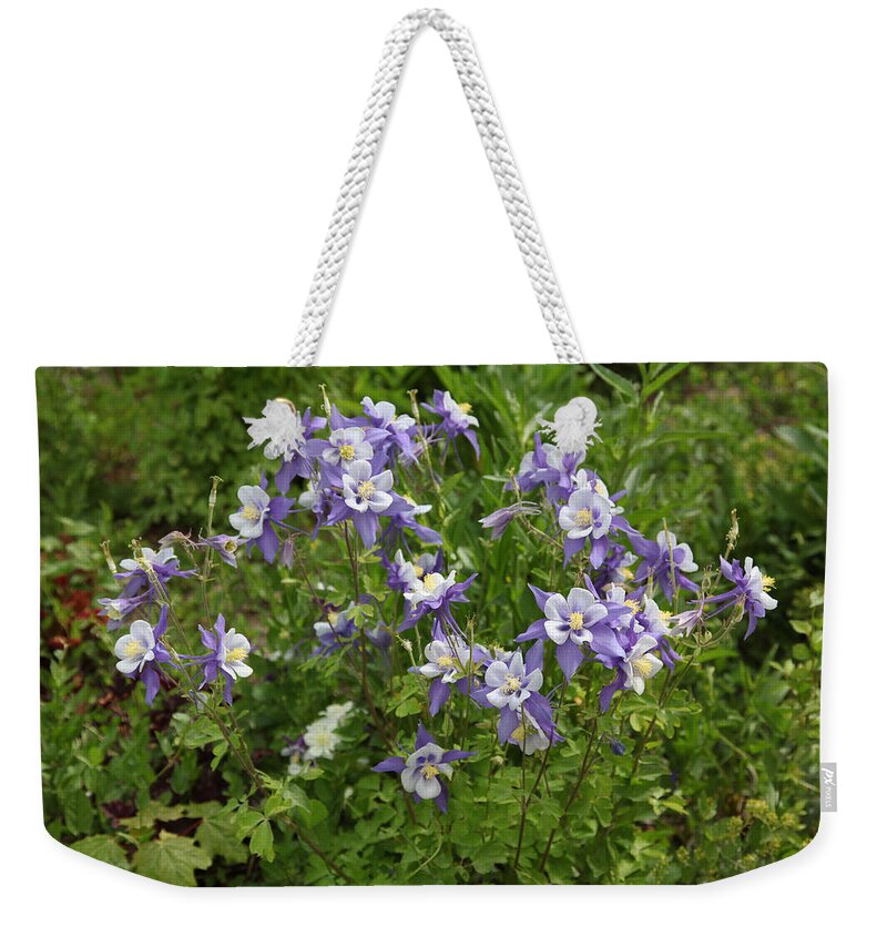 Landscape Weekender Tote Bag featuring the painting Delicate Flowers by Portraits By NC