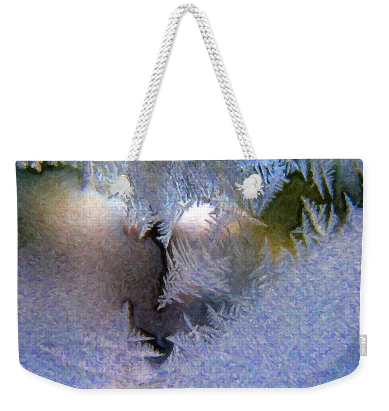 Ice Weekender Tote Bag featuring the photograph Delicate Ice - Digital Painting Effect by Rhonda Barrett