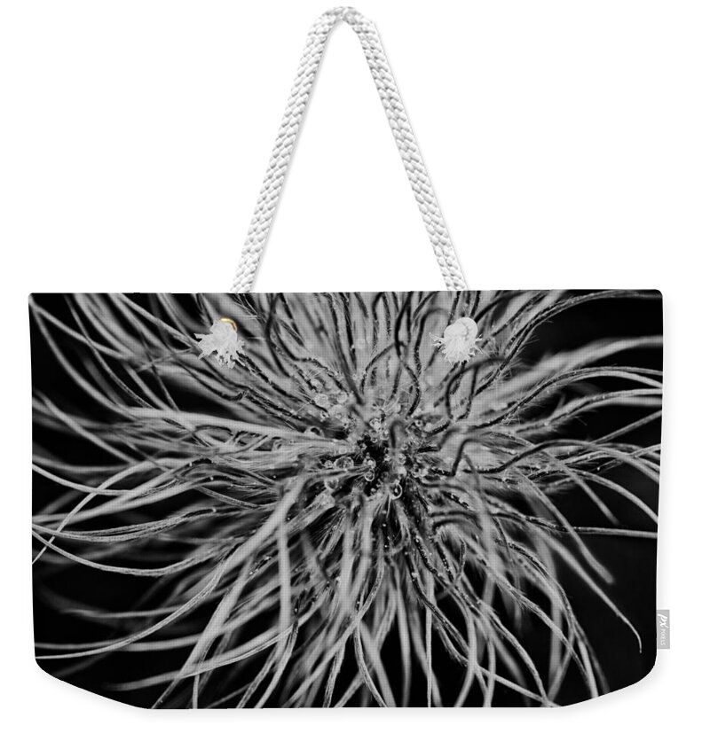 Flower Weekender Tote Bag featuring the photograph Delicate Intrigue by Mark Kiver