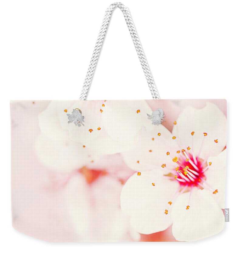 Sparse Weekender Tote Bag featuring the photograph Delicate Pink Cherry Blossom by Catlane