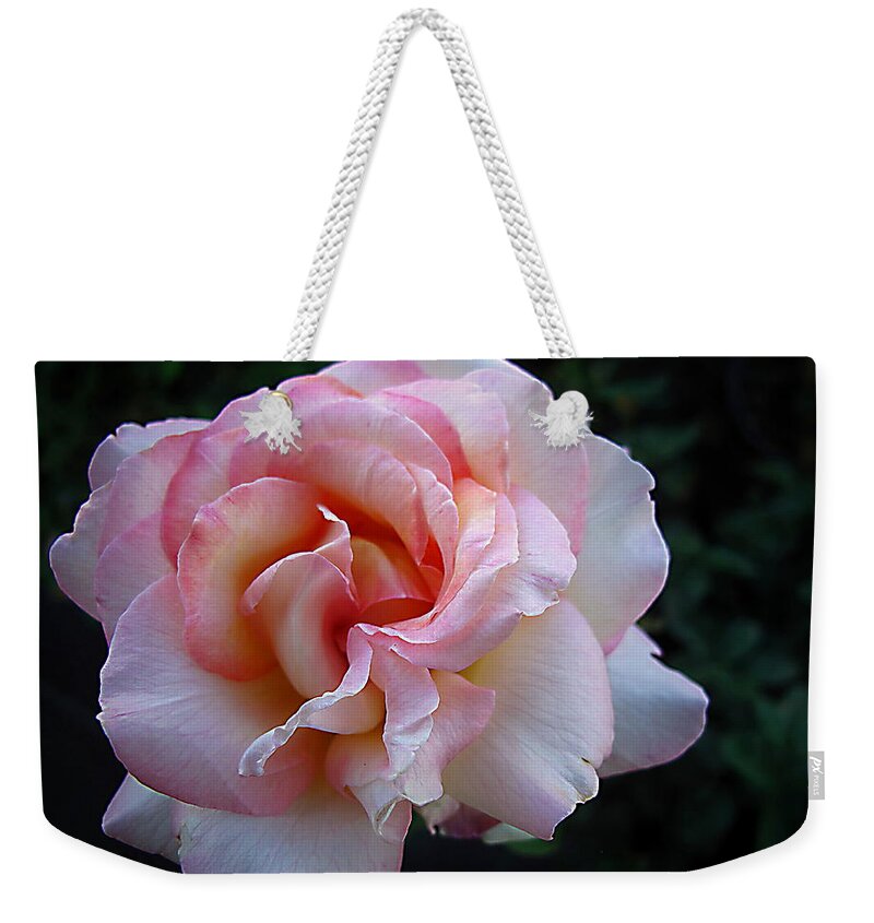 Rose Weekender Tote Bag featuring the photograph Delicate Pink by Joyce Dickens