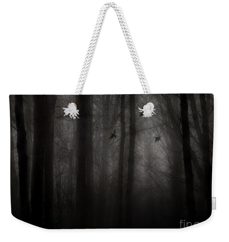 Dark Forest Weekender Tote Bag featuring the photograph Deliverance by Angie Rea