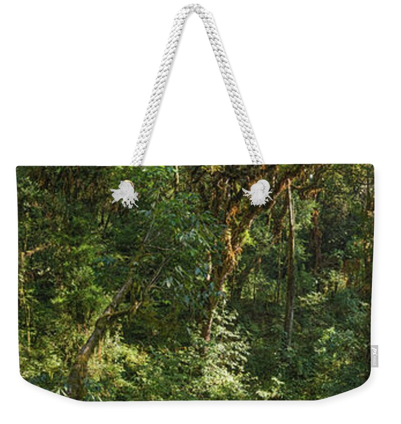 Tropical Rainforest Weekender Tote Bag featuring the photograph Dense Jungle Foliage Lush Green Forest by Fotovoyager