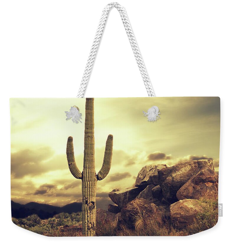 Saguaro Cactus Weekender Tote Bag featuring the photograph Desert Cactus - Classic Southwest by Hillaryfox