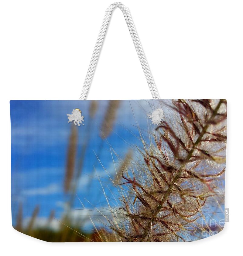 Art Weekender Tote Bag featuring the photograph Desert Foliage by Chris Tarpening
