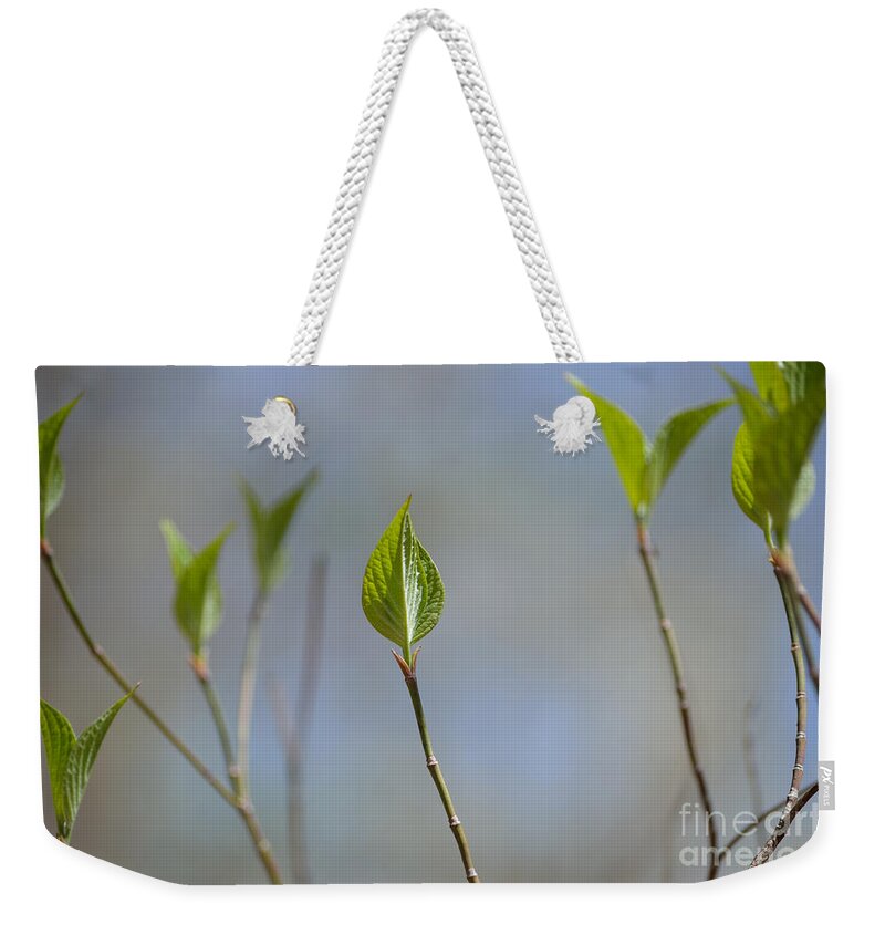 Indiana Weekender Tote Bag featuring the photograph Detail of Spring by Alys Caviness-Gober