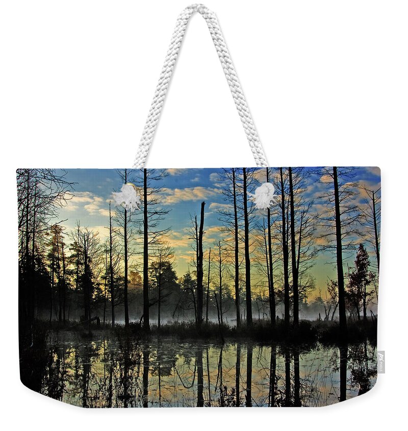 Landscape Weekender Tote Bag featuring the photograph Devils Den in The Pine Barrens by Louis Dallara