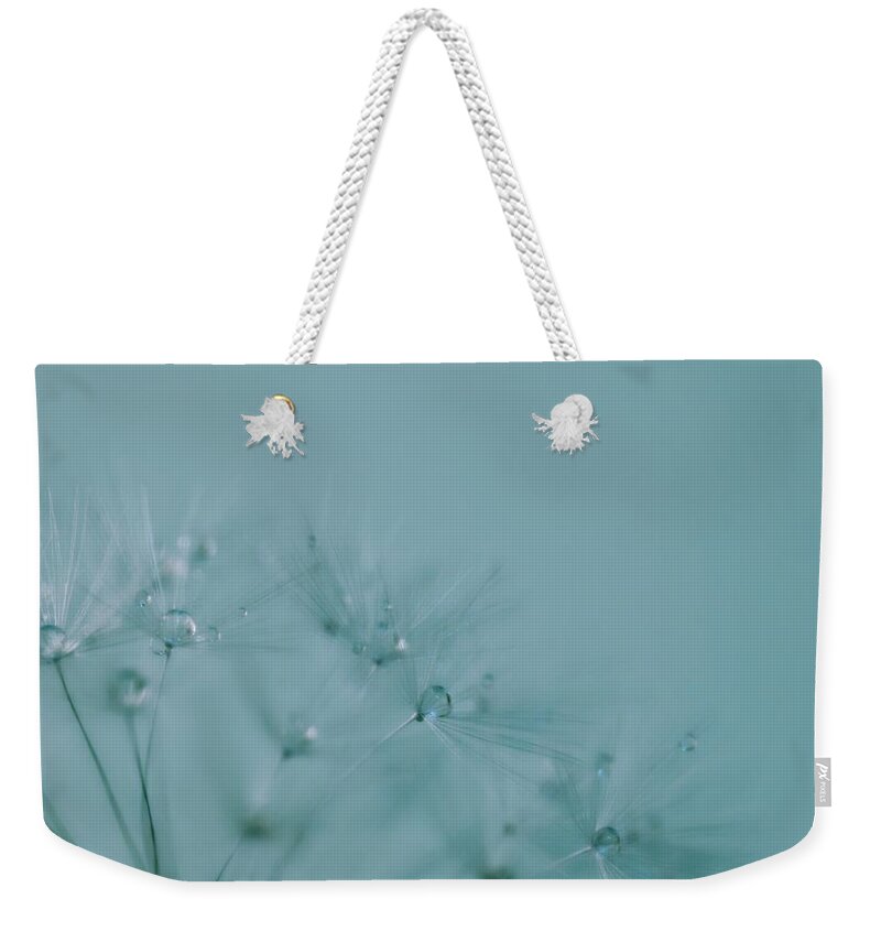 Dandelion Weekender Tote Bag featuring the photograph Dew Drops on Dandelion Seeds by Marianna Mills