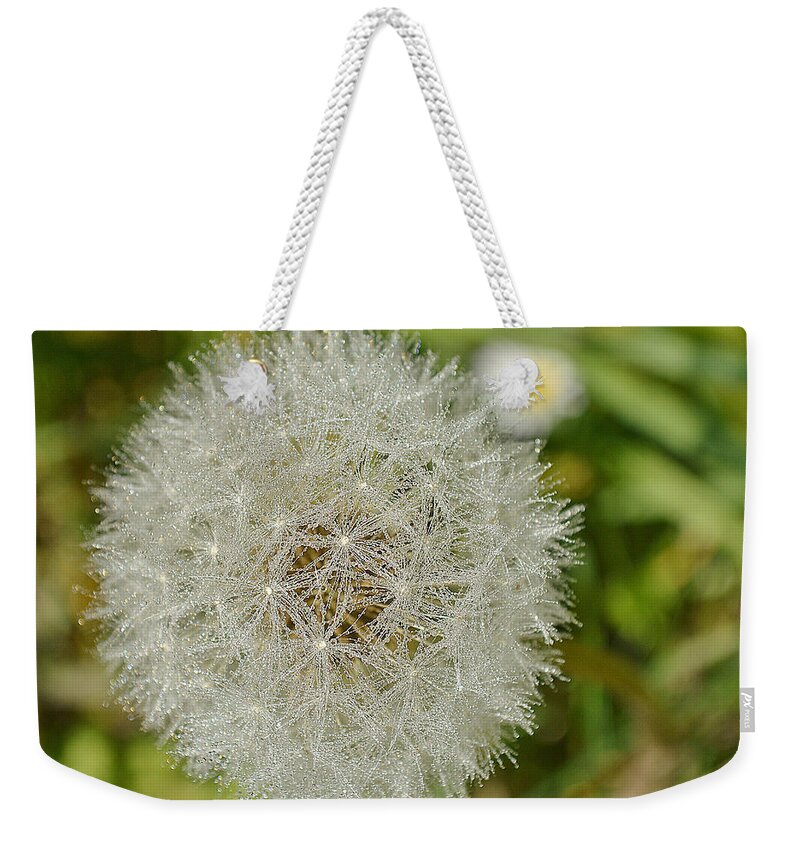Beauty Weekender Tote Bag featuring the photograph Dew on Dandelion by Felicia Tica