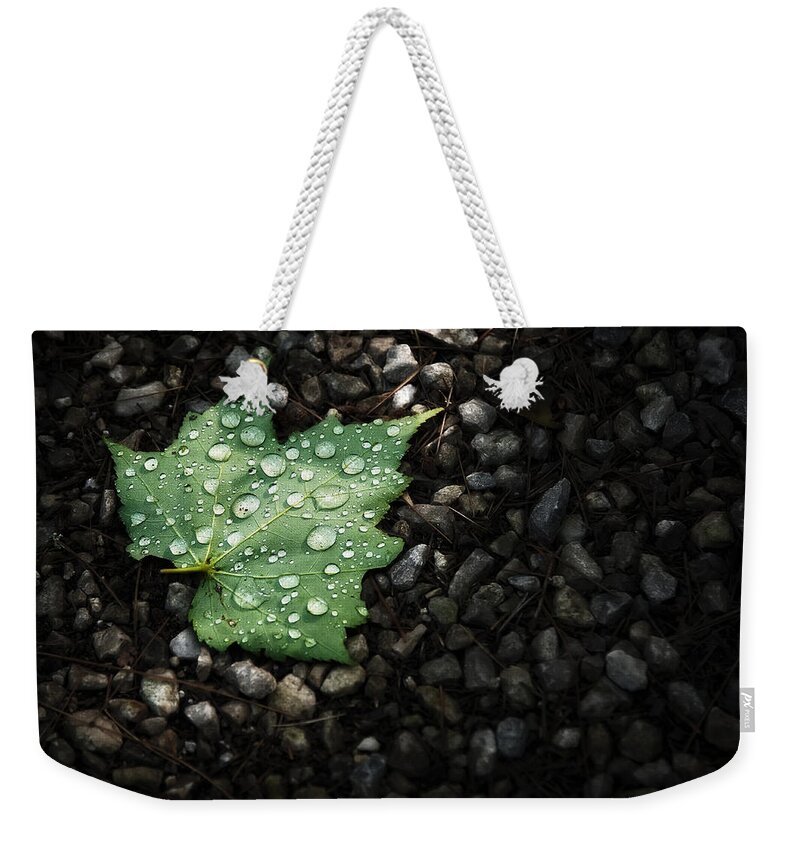 Leaf Weekender Tote Bag featuring the photograph Dew on Leaf by Scott Norris