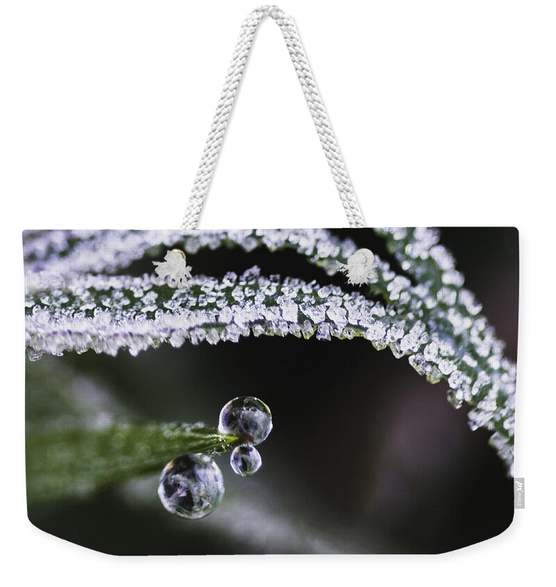 Diamonds And Pearls Weekender Tote Bag featuring the photograph Diamonds and Pearls by Susan Eileen Evans