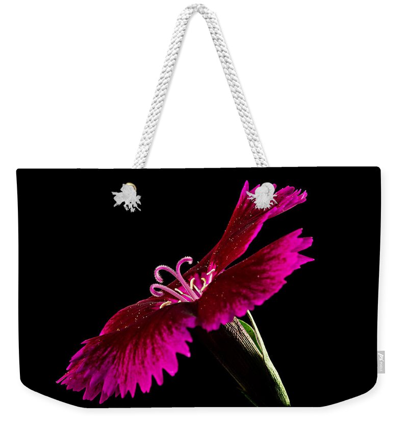 Blossom Weekender Tote Bag featuring the photograph Dianthus by Mary Jo Allen