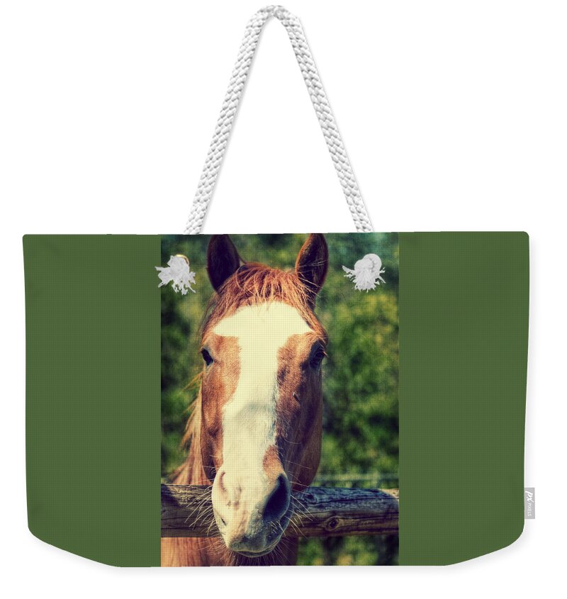 Horse Weekender Tote Bag featuring the photograph Did you Bring an Apple by Melanie Lankford Photography