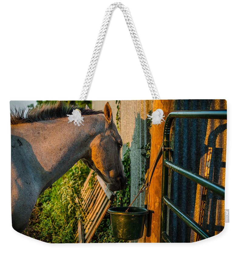 Horse Weekender Tote Bag featuring the photograph Dinnertime Abendessen by David Morefield