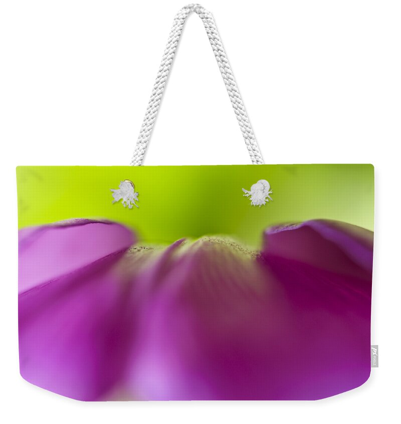 Abstract Weekender Tote Bag featuring the photograph Discovery in Color by Christi Kraft