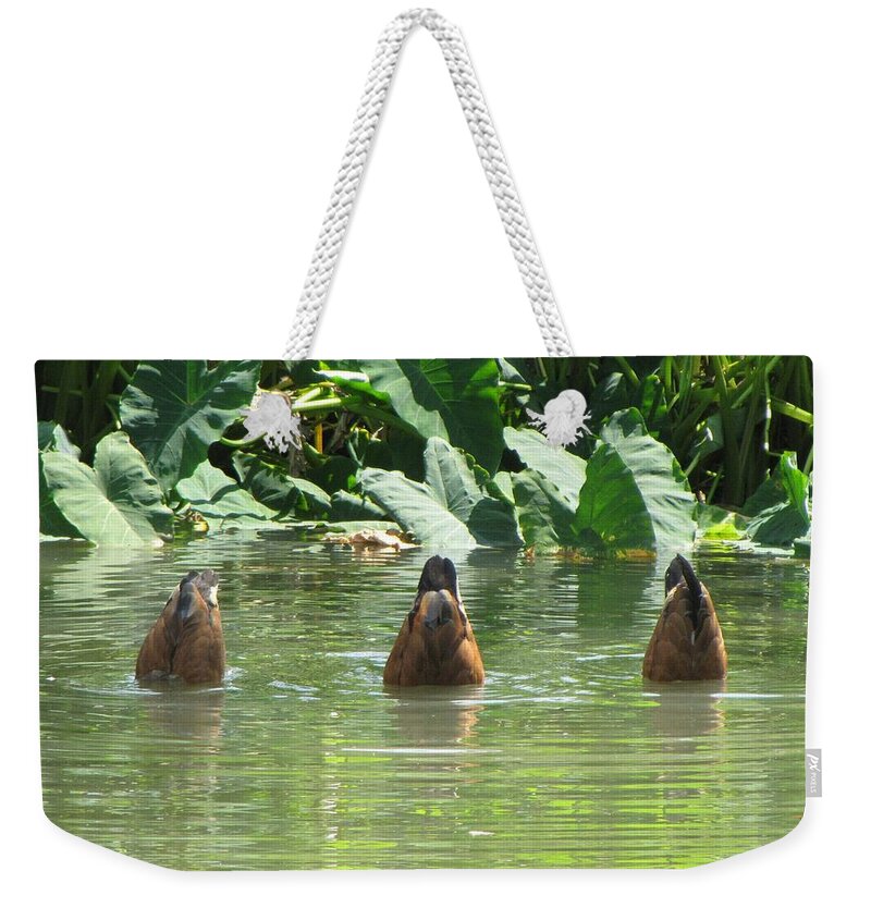 Ducks Weekender Tote Bag featuring the photograph Dive by Beth Vincent