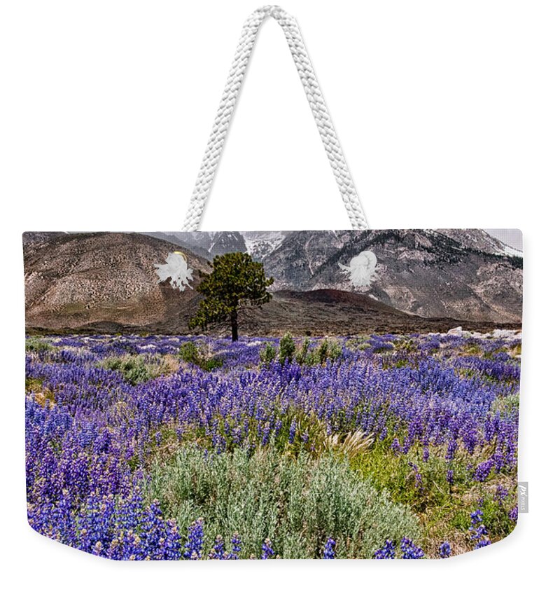 Clouds Weekender Tote Bag featuring the photograph Division Creek Lupine by Cat Connor