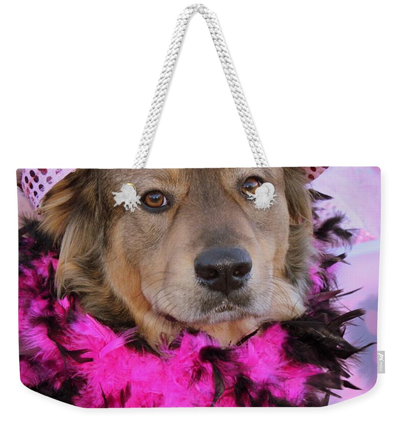 Dog Weekender Tote Bag featuring the photograph Do You Like My Pink Hat by Fiona Kennard