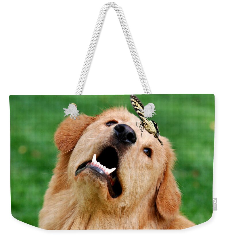 Dog Weekender Tote Bag featuring the photograph Dog And Butterfly by Christina Rollo