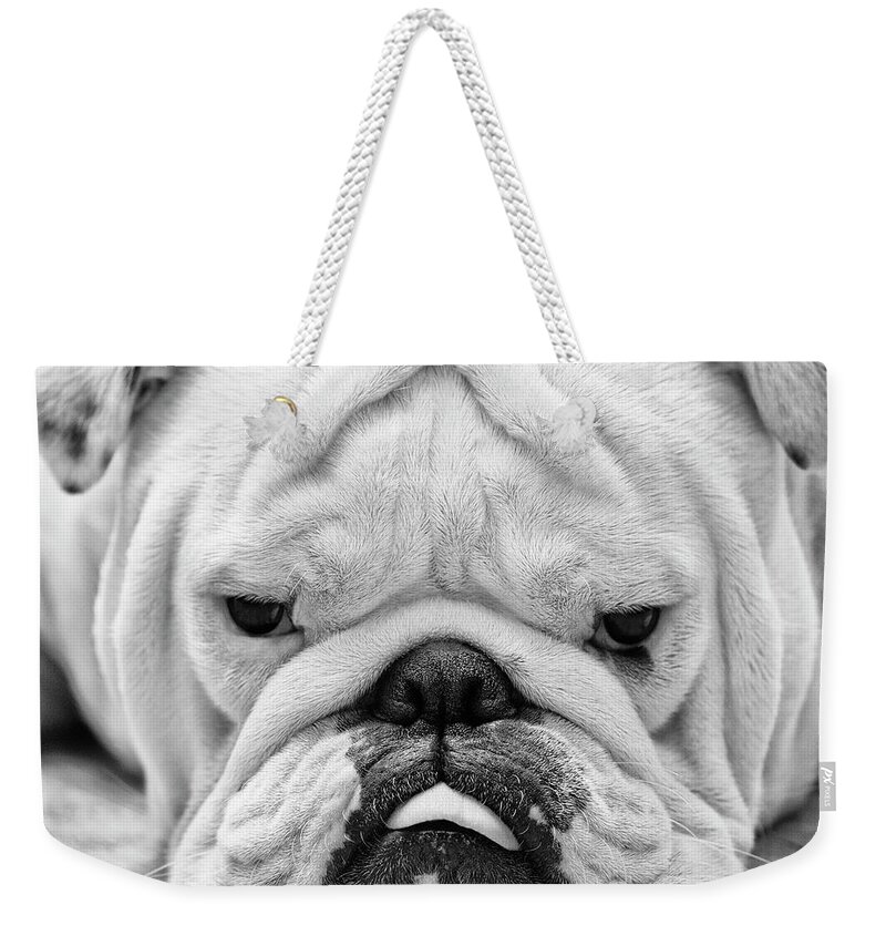 Pets Weekender Tote Bag featuring the photograph Dog Face by Jody Trappe Photography