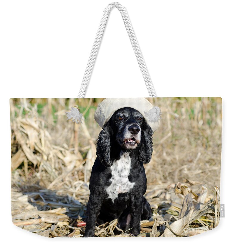 Dog Weekender Tote Bag featuring the photograph Dog with a sailor hat by Mats Silvan