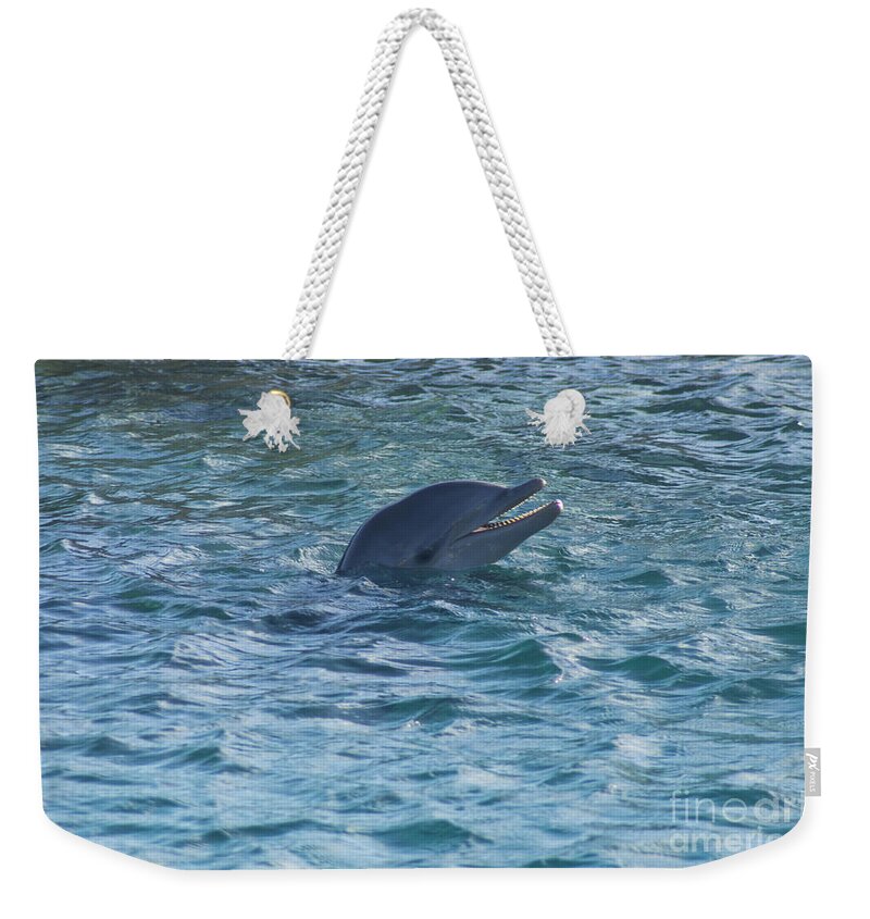 Dolphin Weekender Tote Bag featuring the photograph Dolphin by Louise Magno