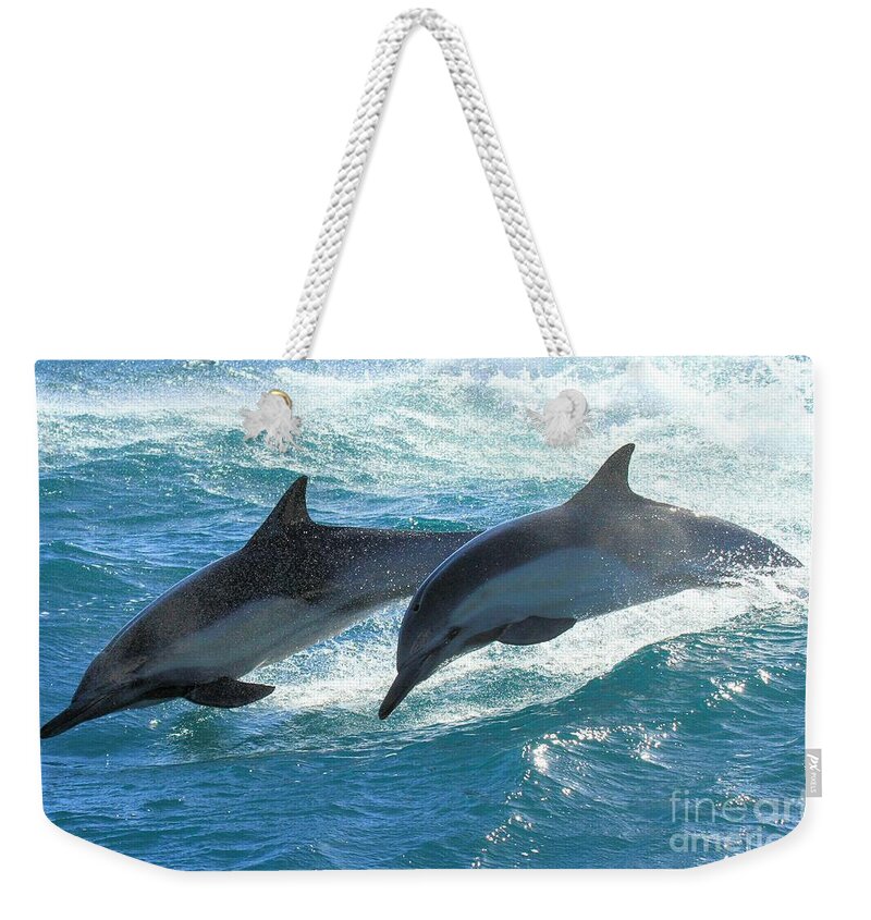 Channel Islands National Park Weekender Tote Bag featuring the photograph Dolphin Synchro by Adam Jewell