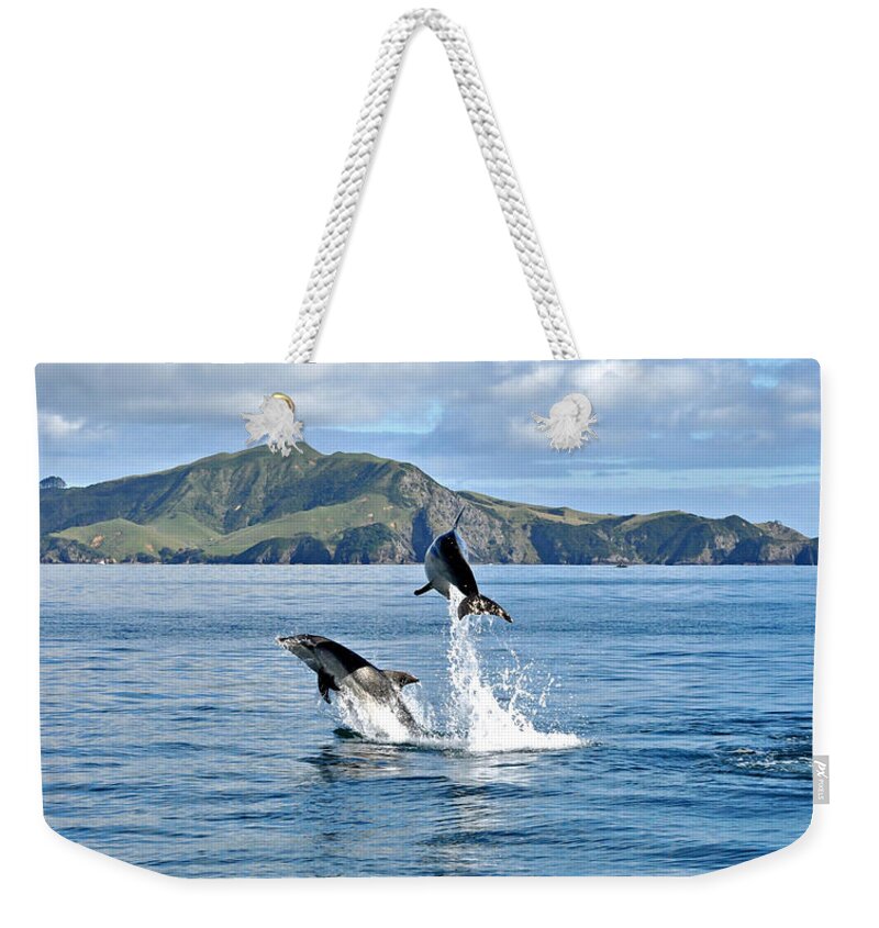 Nature Weekender Tote Bag featuring the photograph Dolphins In The Bay Of Islands by Steve Clancy Photography