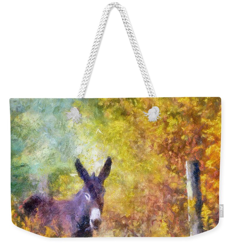 Donkey Weekender Tote Bag featuring the photograph Donkey At The Fence by Kerri Farley