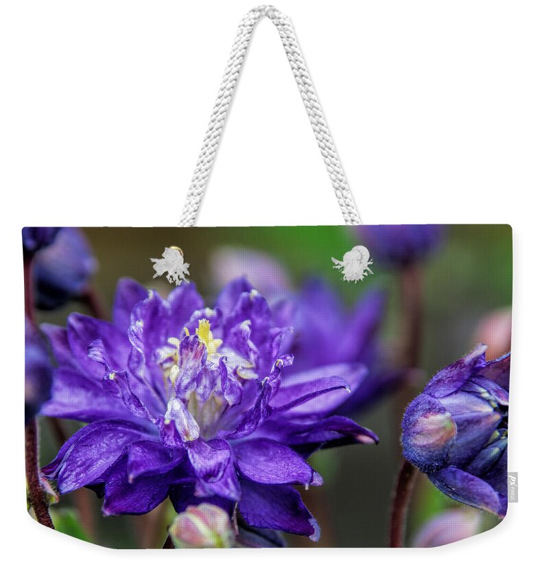 Denyse Duhaime Photography Weekender Tote Bag featuring the photograph Double Blue Columbine Flower by Denyse Duhaime