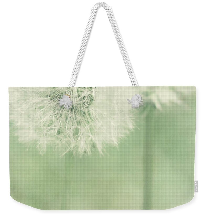 Dandelion Weekender Tote Bag featuring the photograph Double Dandy by Pam Holdsworth