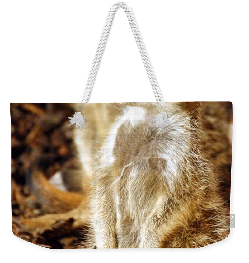 Animal Weekender Tote Bag featuring the photograph Double Trouble by Chris Boulton