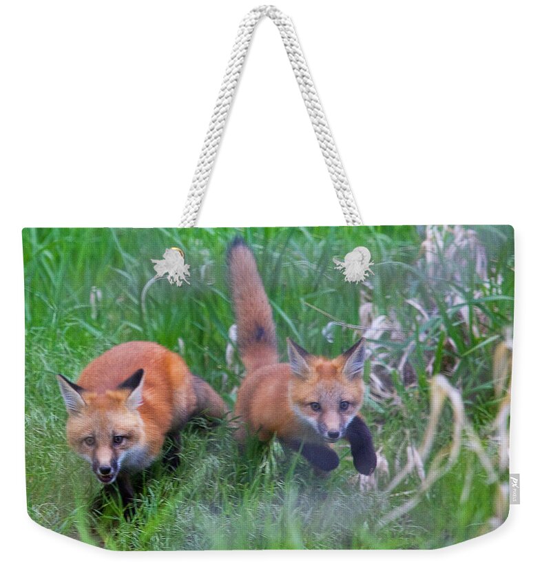 Fox Weekender Tote Bag featuring the photograph Double Trouble by Jim Garrison
