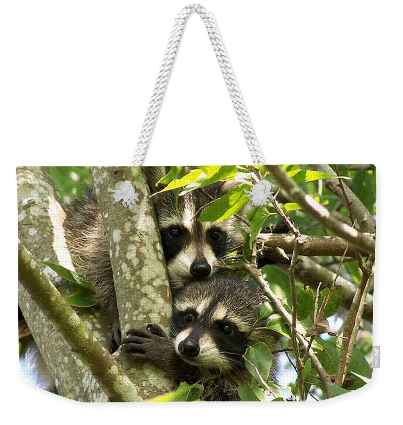 Nature Weekender Tote Bag featuring the photograph Double Trouble by Peggy Urban
