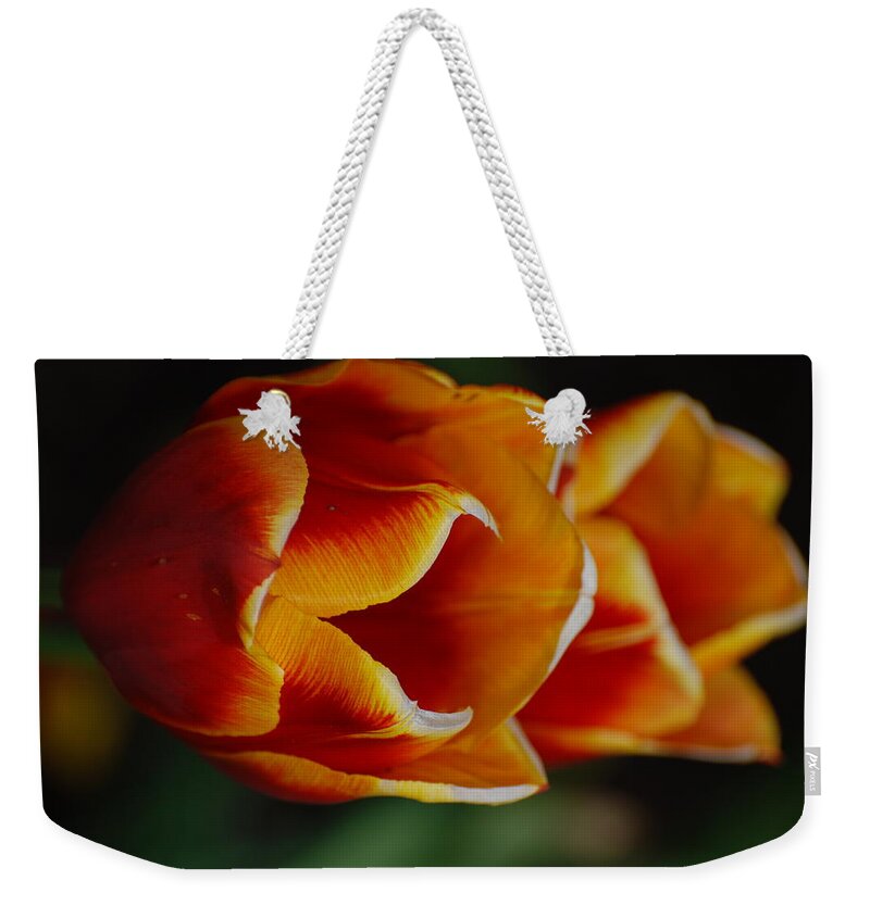 Tulip Weekender Tote Bag featuring the photograph Double Vision by Kathy Paynter