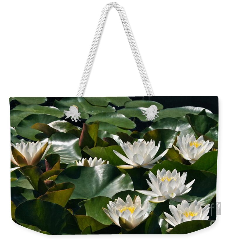 Hardy Double White Water Lilies Weekender Tote Bag featuring the photograph Double White Hardy Water Lilies by Byron Varvarigos