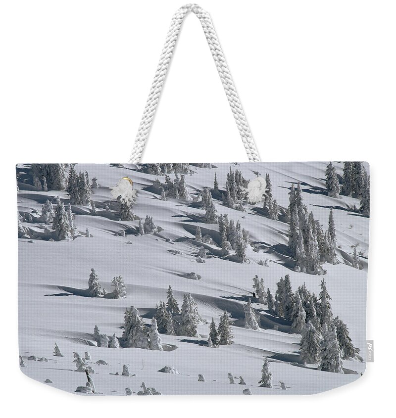 Feb0514 Weekender Tote Bag featuring the photograph Douglas Fir Tree Shadows In Winter by Michael Quinton