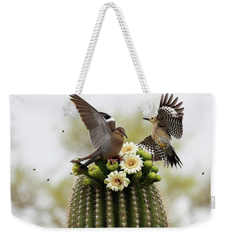 Saguaro Cactus Weekender Tote Bag featuring the photograph Dove And Woodpecker On Blooming Saguaro by Barbaracarrollphotography
